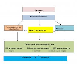 Структура и органы управления образовательной организацией